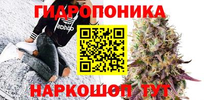МДПВ Будённовск