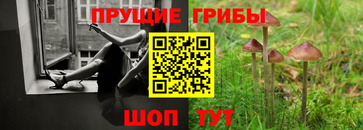 Псилоцибиновые грибы прущие грибы Лянтор